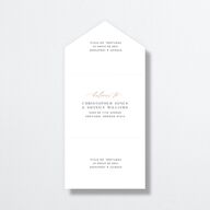 Sparkling Romance All-in-One Wedding Invitations Moody Blue Signature Light Both Recipient and Return Addresses No