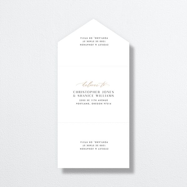 Sparkling Romance All-in-One Wedding Invitations Moody Blue Signature Light Both Recipient and Return Addresses No