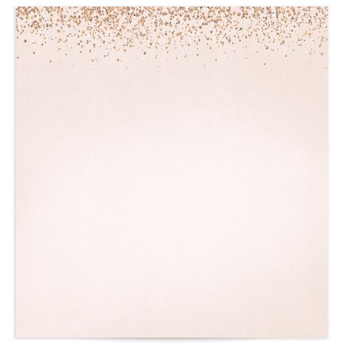 Sparkling Romance Standard Envelope Liners Standard Snow