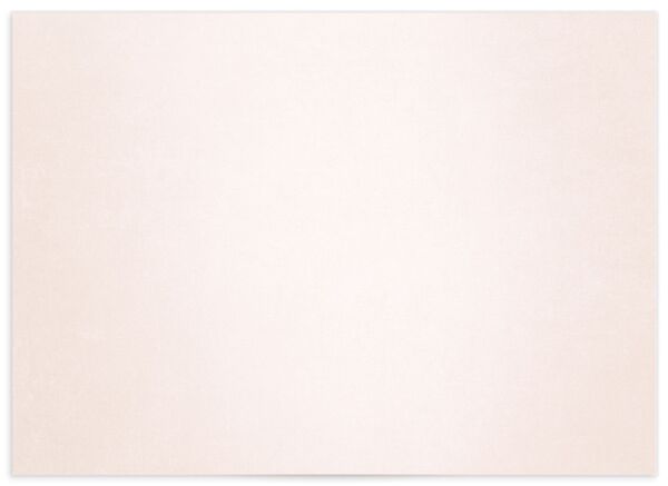 Elegant Glamour Wedding Enclosure Cards back