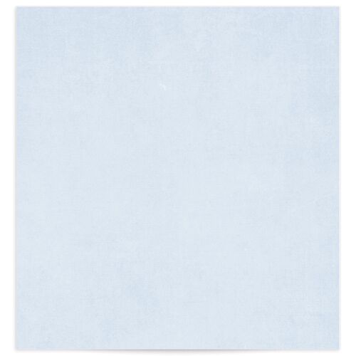 Watercolor Crest Standard Envelope Liners - 