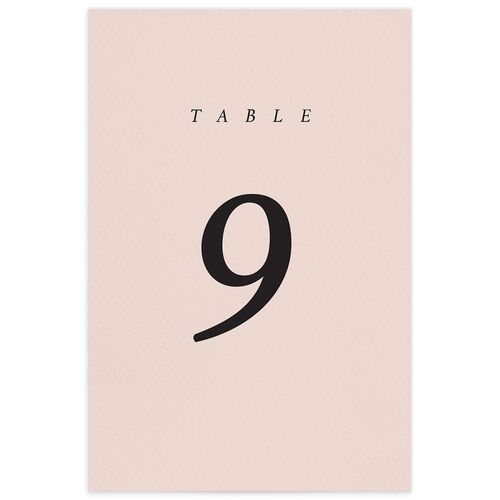 Modern Chic Table Numbers