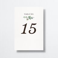 Leafy Hoops Table Numbers Eucalyptus Signature