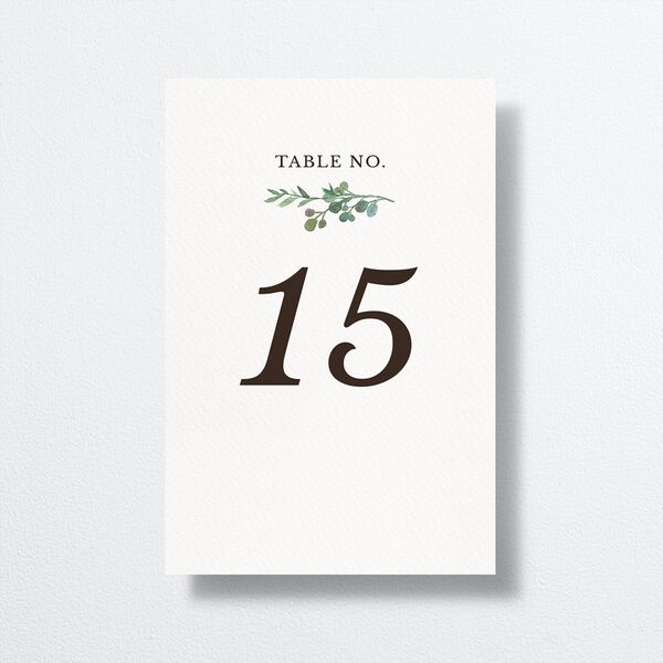 Leafy Hoops Table Numbers Eucalyptus Signature