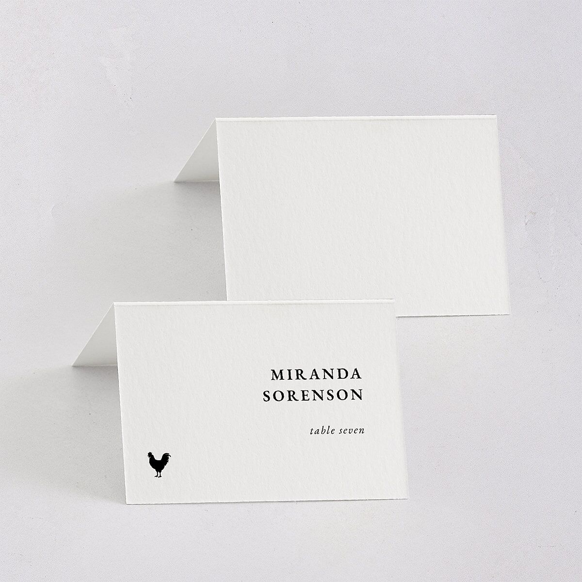 Vertical Names Place Cards Pure White Signature
