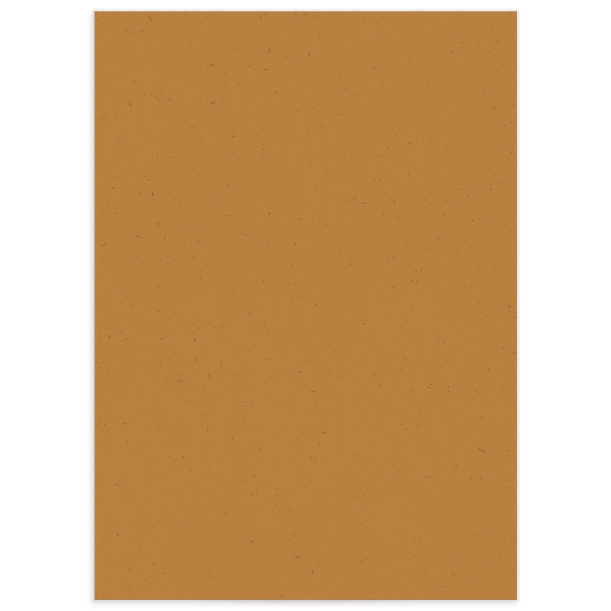 Minimal Chic Wedding Enclosure Cards Pure White Signature