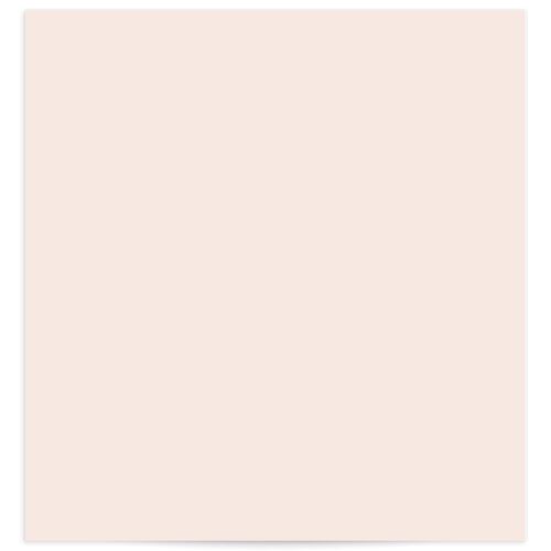 Floral Abstract Standard Envelope Liners Standard Dahlia