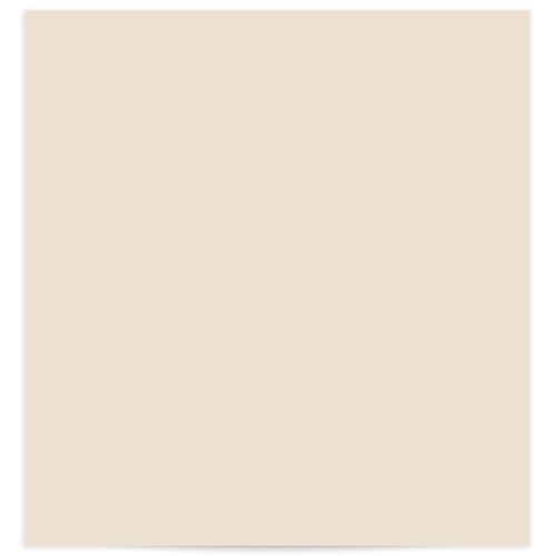 Minimal Leaves Standard Envelope Liners Standard Umber