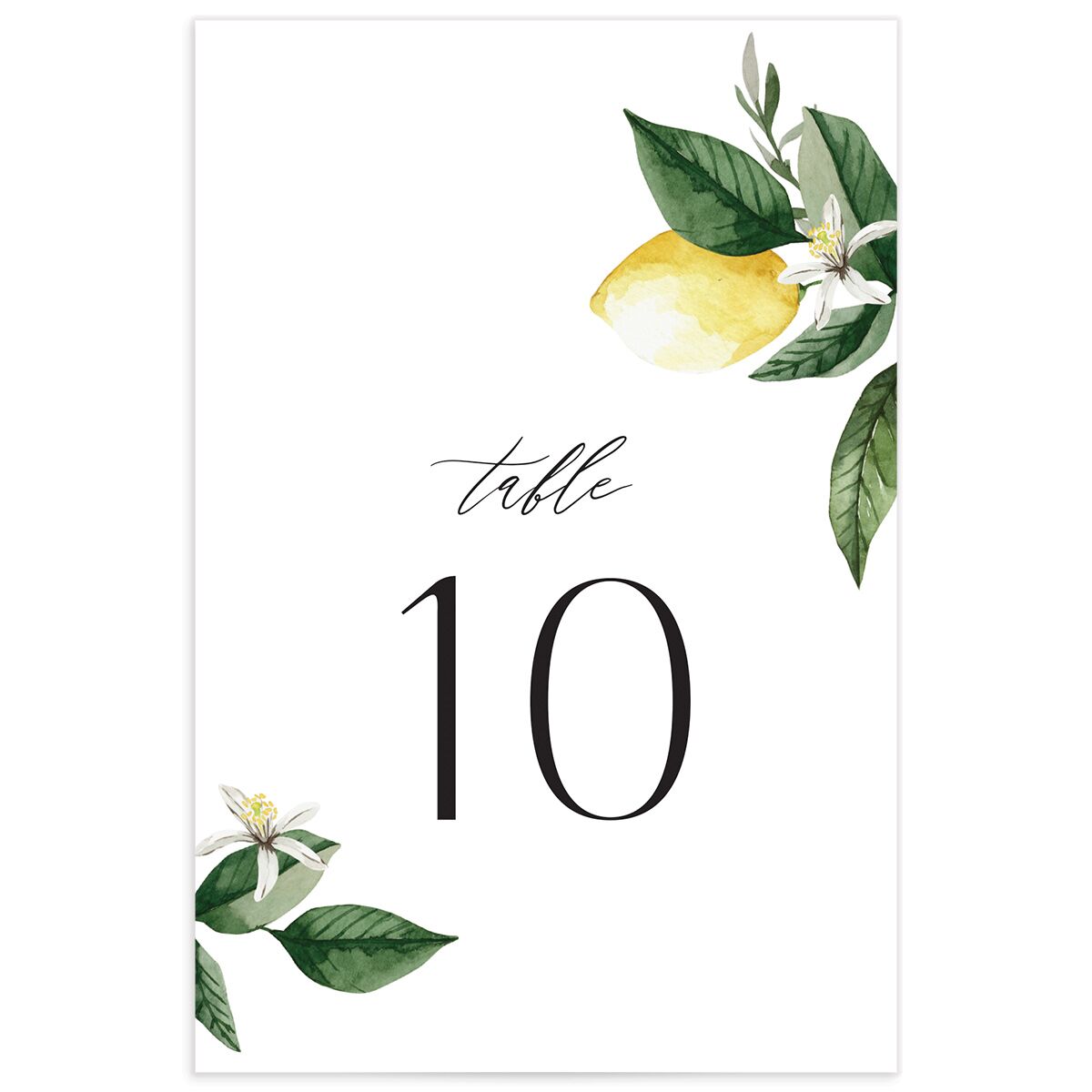 Botanical Lemon Table Numbers