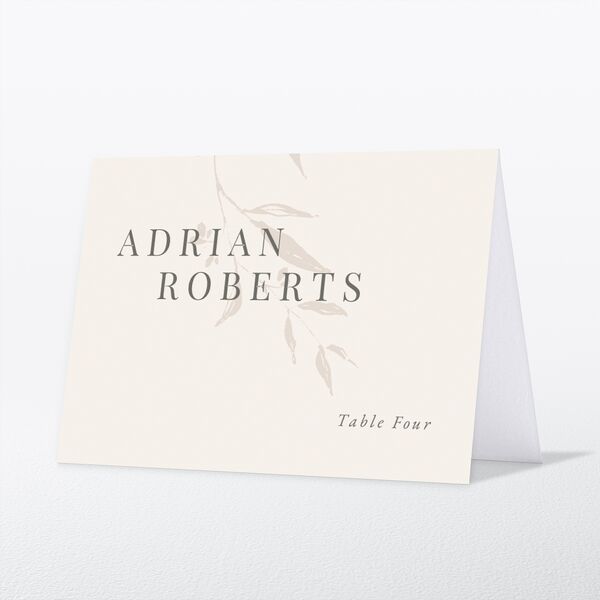 Rustic Minimal Place Cards front in Cream