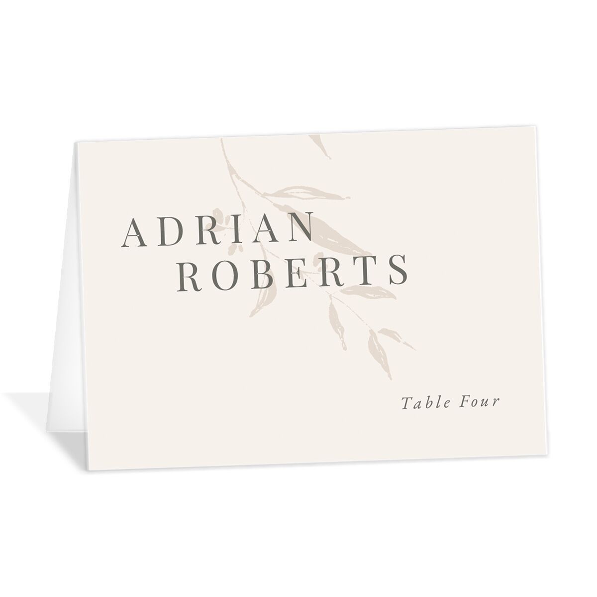 Rustic Minimal Place Cards