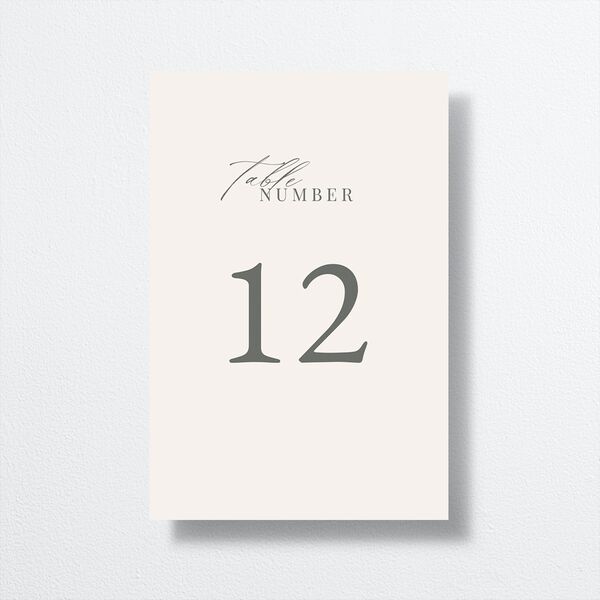 Rustic Minimal Table Numbers Champagne Signature
