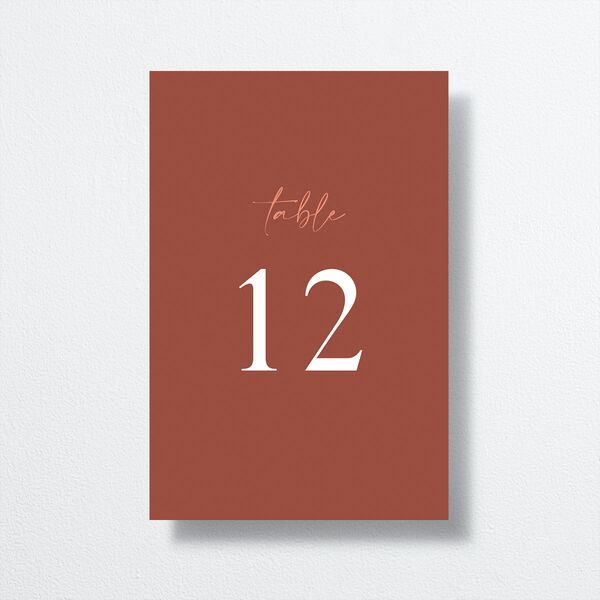 Romantic Bohemian Table Numbers Shell Pink Signature