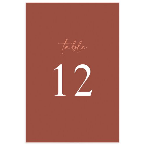 Romantic Bohemian Table Numbers Shell Pink Signature