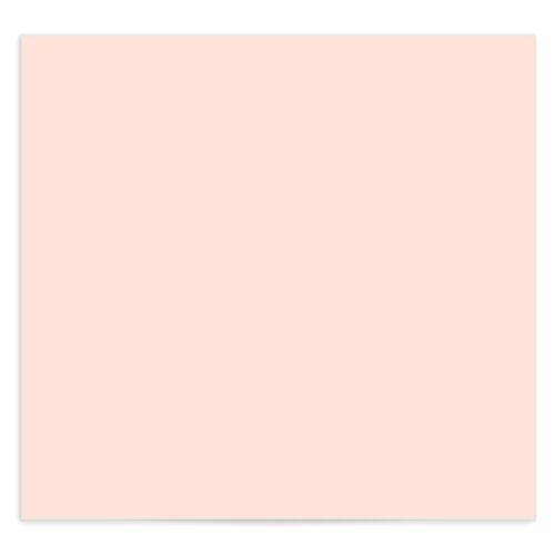 Orange Citrus Standard Envelope Liner - 