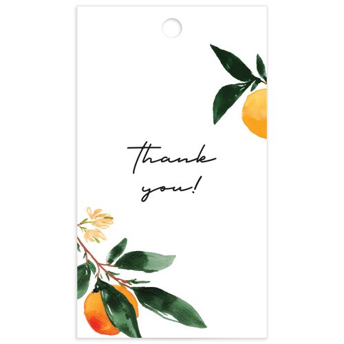 Orange Citrus Favor Gift Tags - 