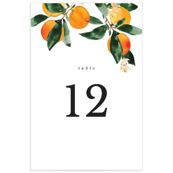 Orange Citrus Table Numbers front in Orange