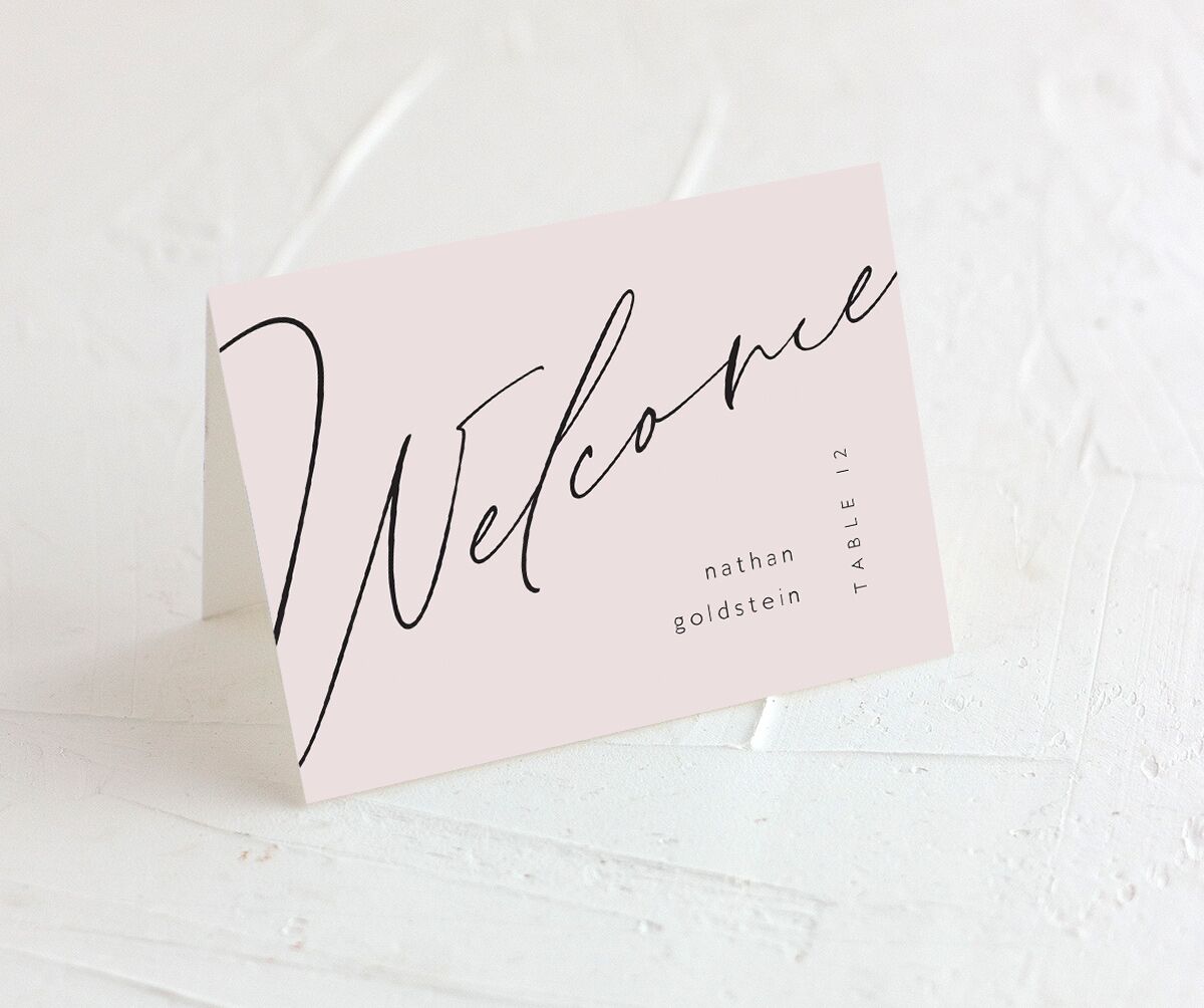 Modern Script Place Cards Pure White Signature