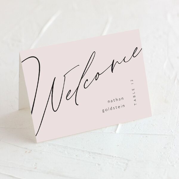 Modern Script Place Cards Pure White Signature
