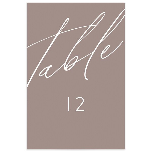 Modern Script Table Numbers front