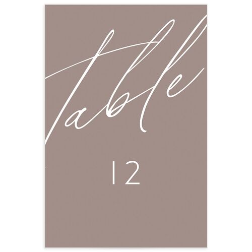 Modern Script Table Numbers - 