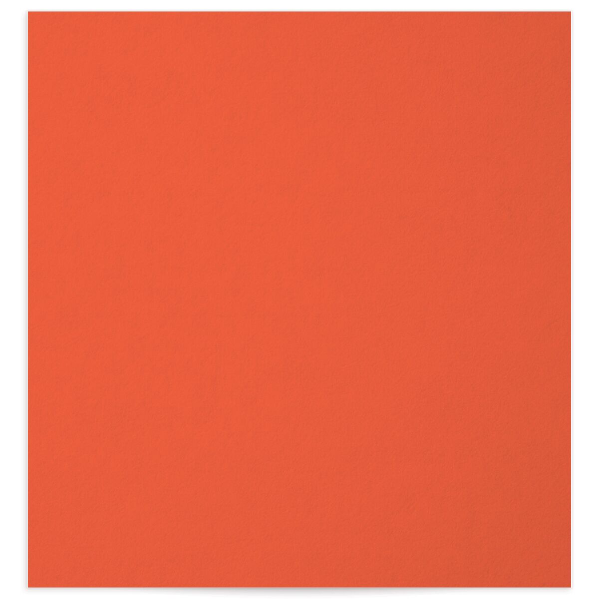 Vintage Library Standard Envelope Liners