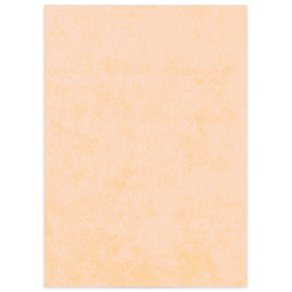 Simple Blossom Wedding Enclosure Cards back in orange