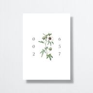 Vintage Peony Wedding Invitations Pure White Signature No