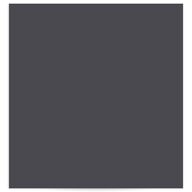 Simply Elegant Standard Envelope Liners Standard Champagne