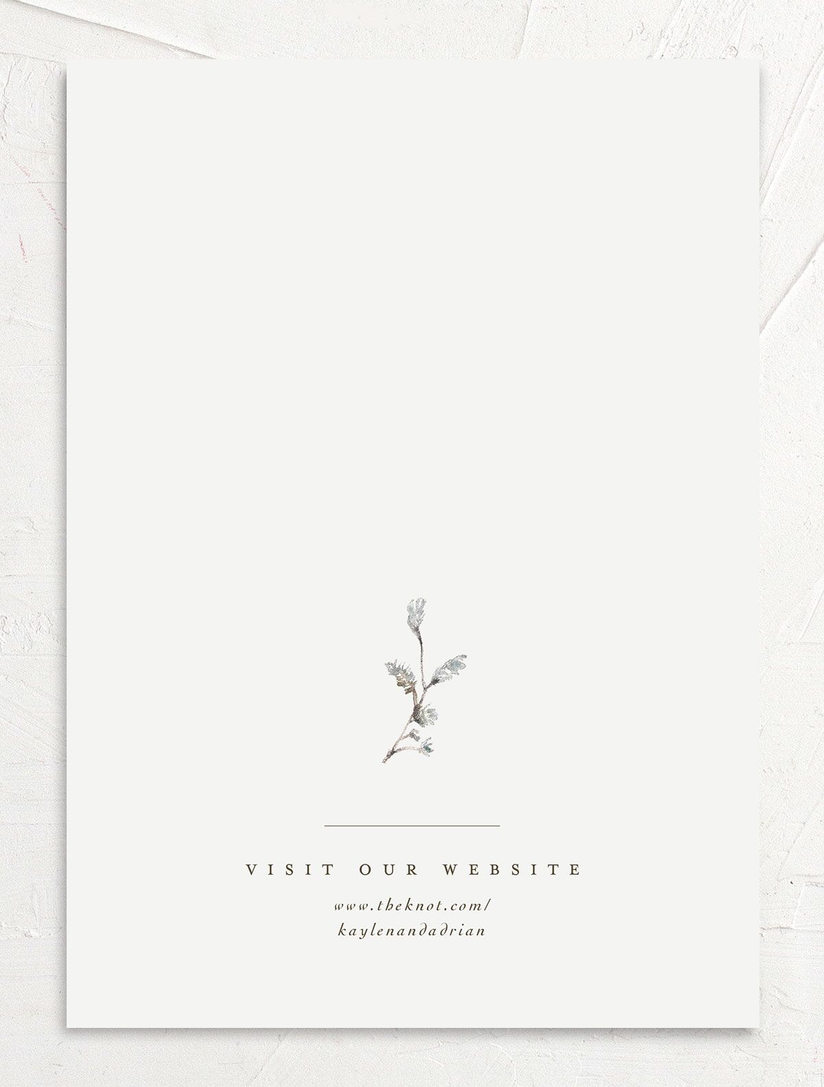Classic Palette Save the Date Cards back