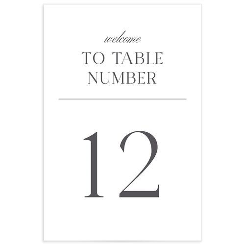 Classically Elegant Table Numbers