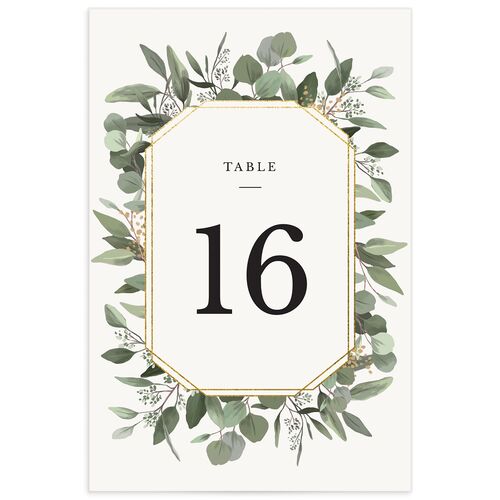 Painted Eucalyptus Table Numbers - White