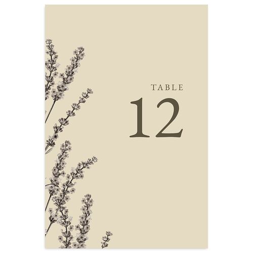 Vintage Lavender Table Numbers Falcon Signature