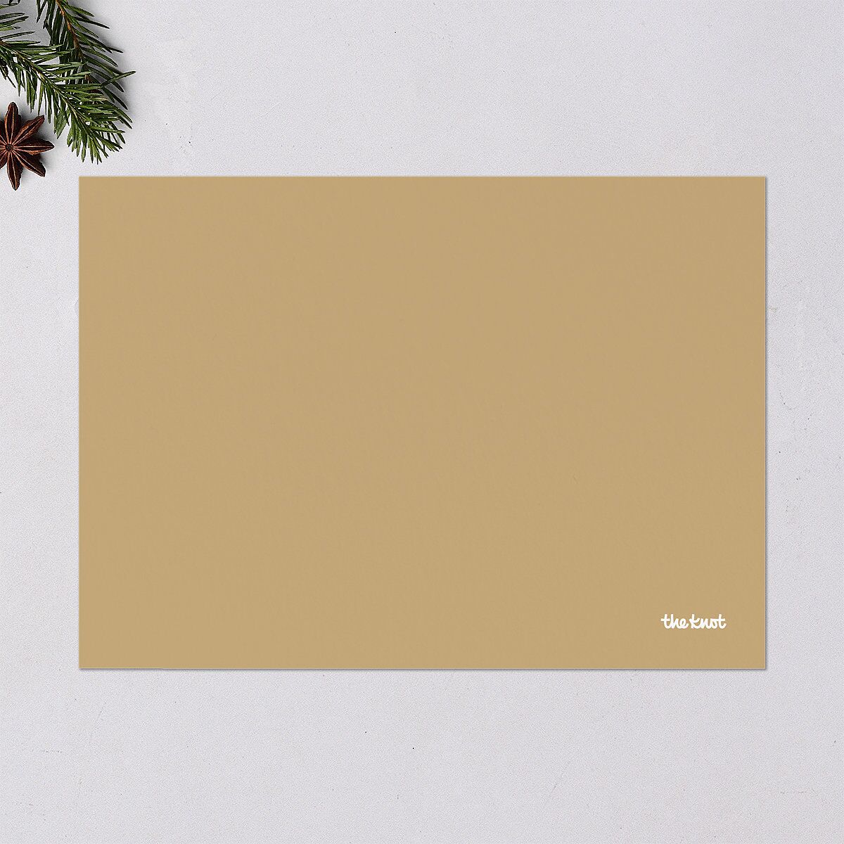 Bright New Year Holiday Cards Tan Signature Blank Standard Landscape