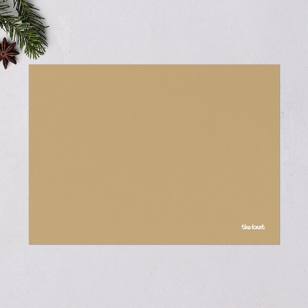Bright New Year Holiday Cards Tan Signature Blank Standard Landscape