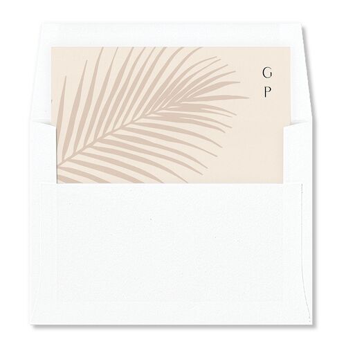 Lavish Palm Standard Envelope Liners Licorice Standard