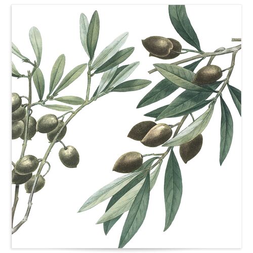 Mediterranean Olive Envelope Liners