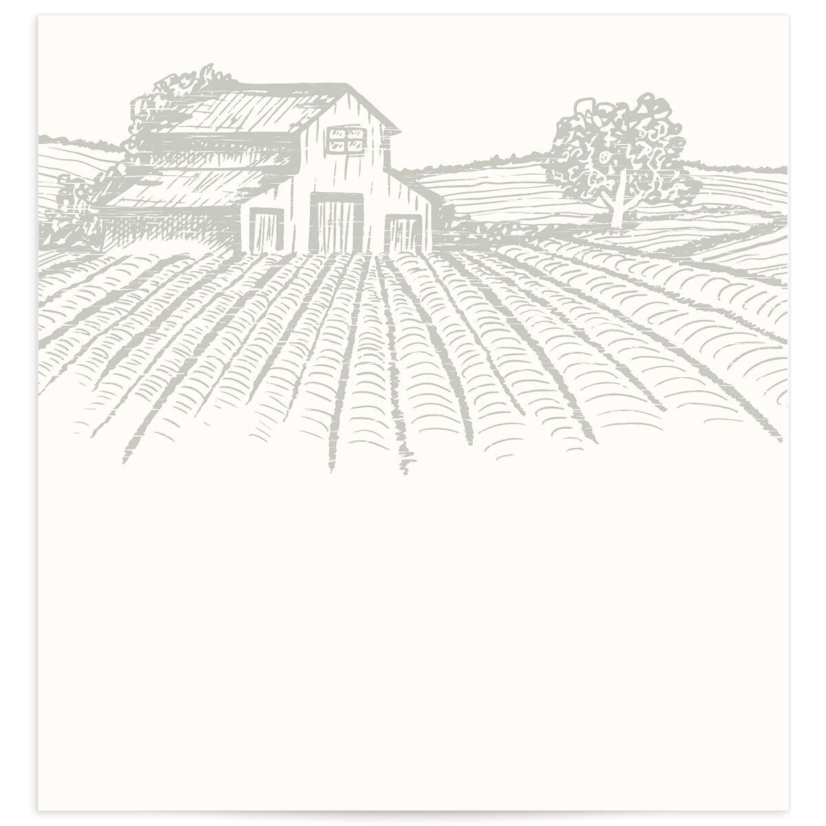 Country Farm Standard Envelope Liners