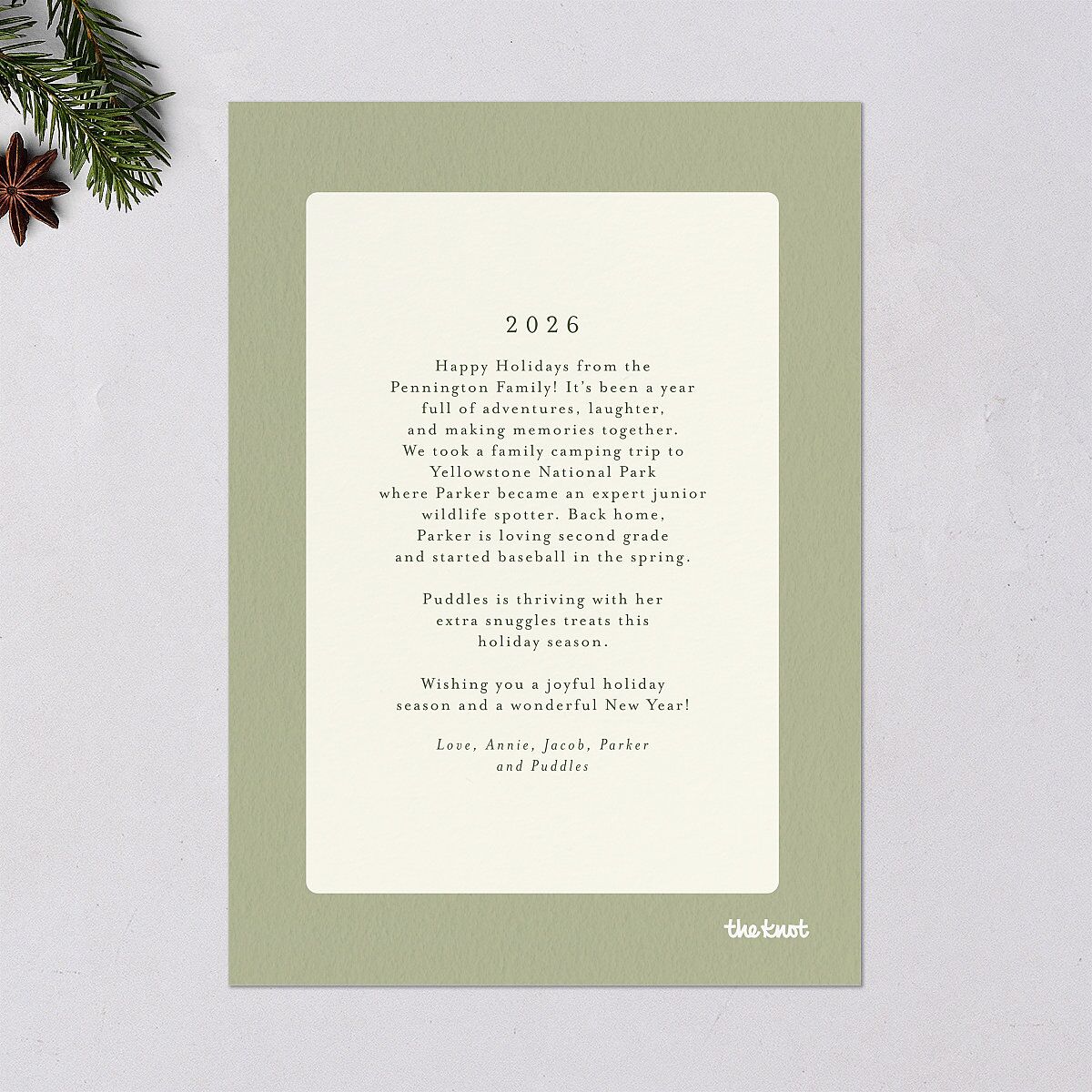 Holiday Buffalo Check Holiday Cards Moss Signature Blank Standard