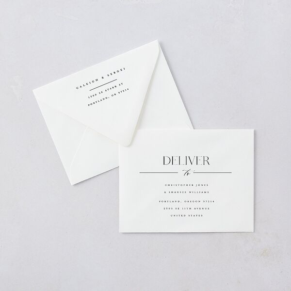 Elegant Frame Save the Date Magnet Euro Envelopes White Fog Both Recipient and Return Addresses Luxe Signature