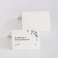 Modern Eucalyptus Place Cards Pure White Signature