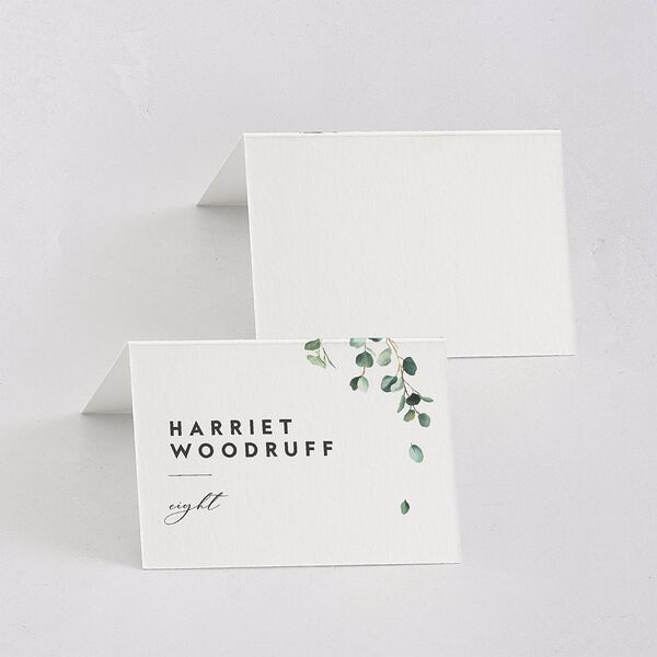 Modern Eucalyptus Place Cards Pure White Signature