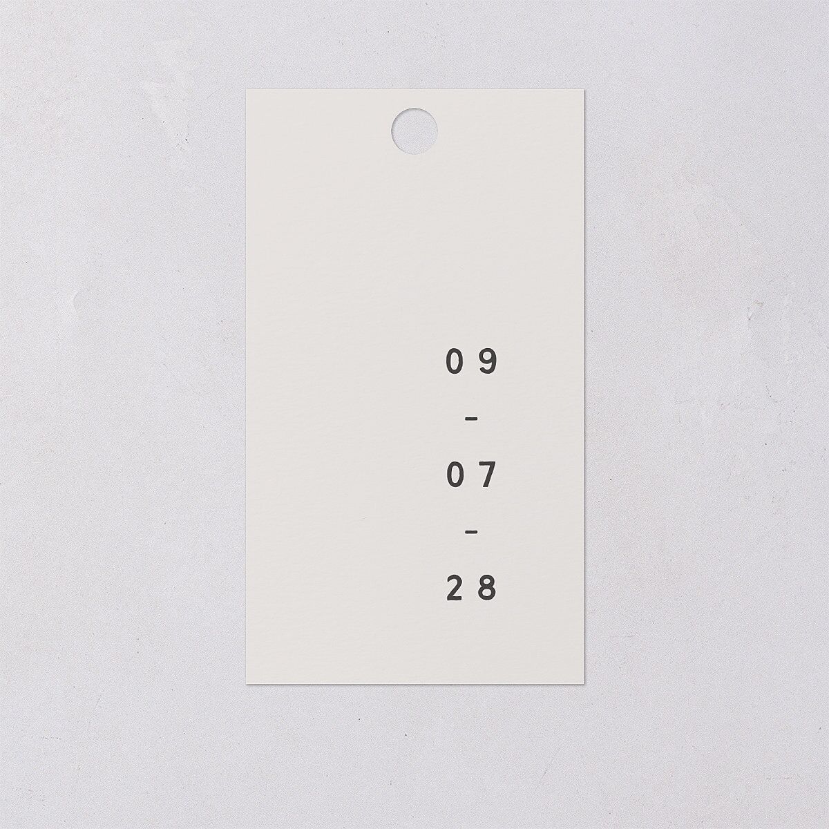 Modern Photograph Favor Gift Tags Mist Signature