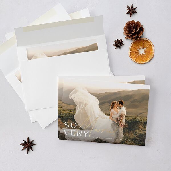 So Very Married Holiday Cards Gold Saddle Signature Blank Standard Landscape