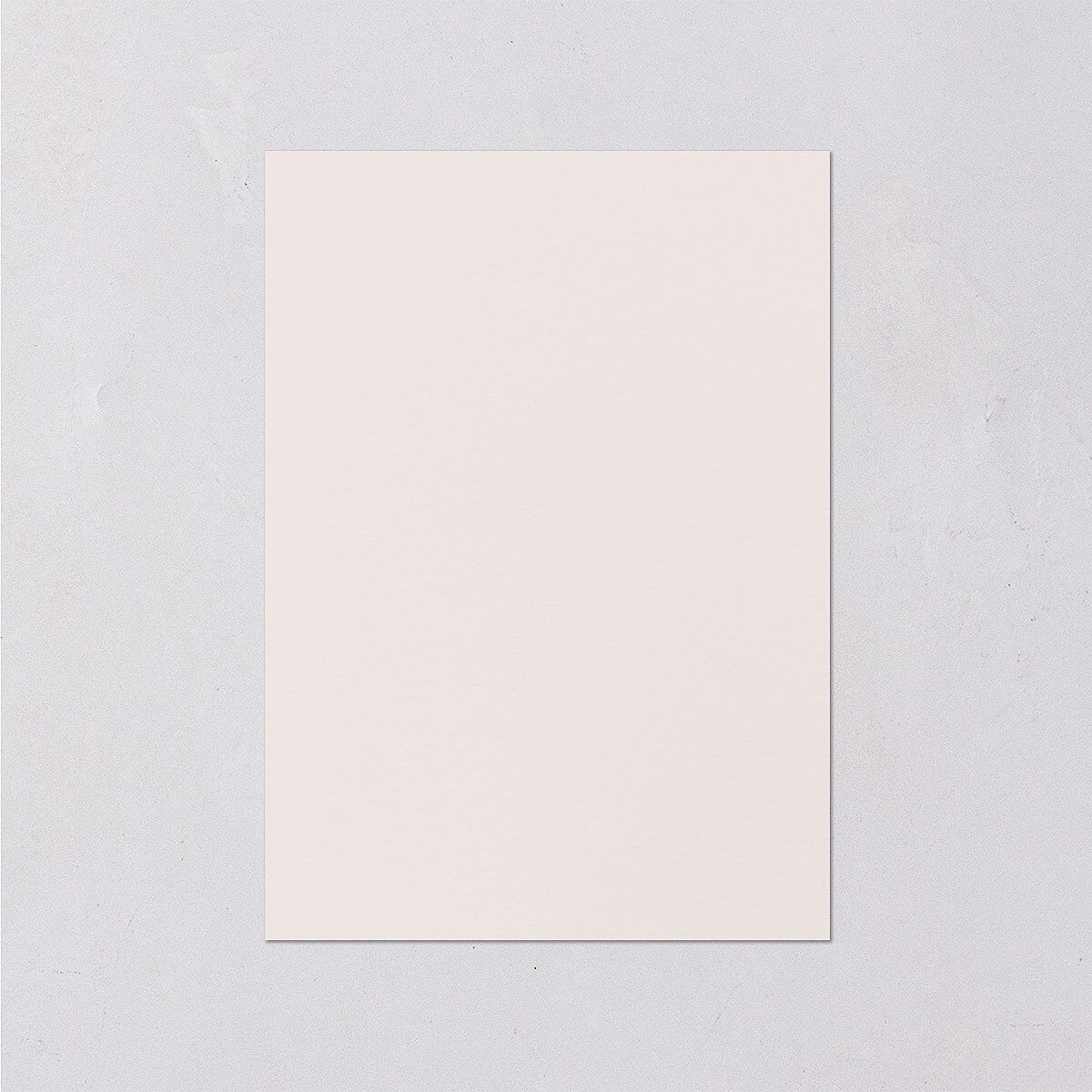 Ampersand Flourish Wedding Enclosure Cards Snow Signature Standard