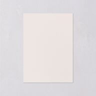 Ampersand Flourish Wedding Enclosure Cards Snow Signature Standard