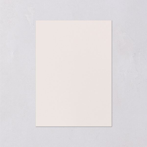 Ampersand Flourish Wedding Enclosure Cards Snow Signature Standard