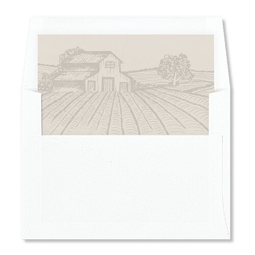 Country Farm Standard Envelope Liners Falcon Standard