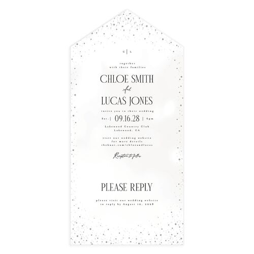 Sparkling Night All-in-One Wedding Invitations Snow Signature Light Both Recipient and Return Addresses No