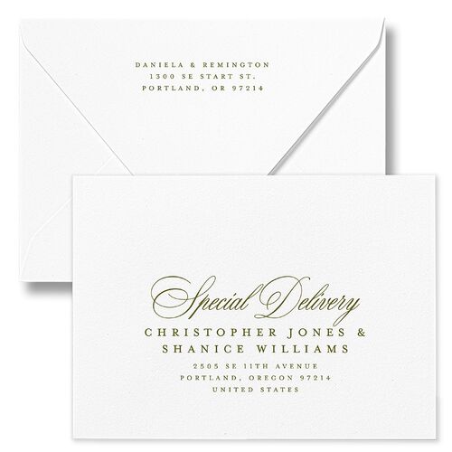Modern Classic Picture Landscape Save The Date Card Euro Envelopes White Olive Both Recipient and Return Addresses Luxe Signature